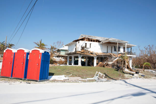 Professional Tree Removal in Mayer, MN